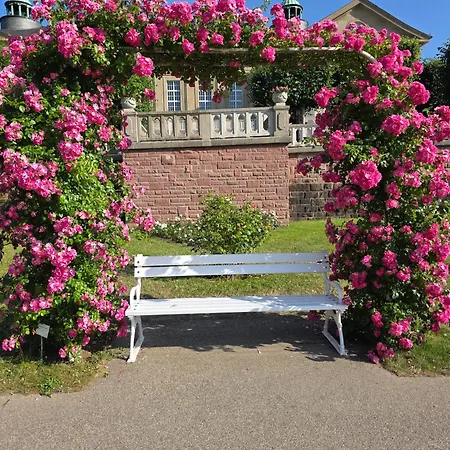 Lägenhet Schaefer, Ruhig Und Perfekt Fuer Unvergesslichen Urlaub Bad Kissingen