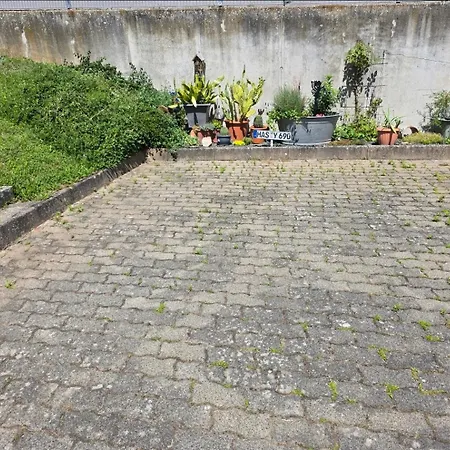 Schaefer, Ruhig Und Perfekt Fuer Unvergesslichen Urlaub 公寓 巴特基辛根